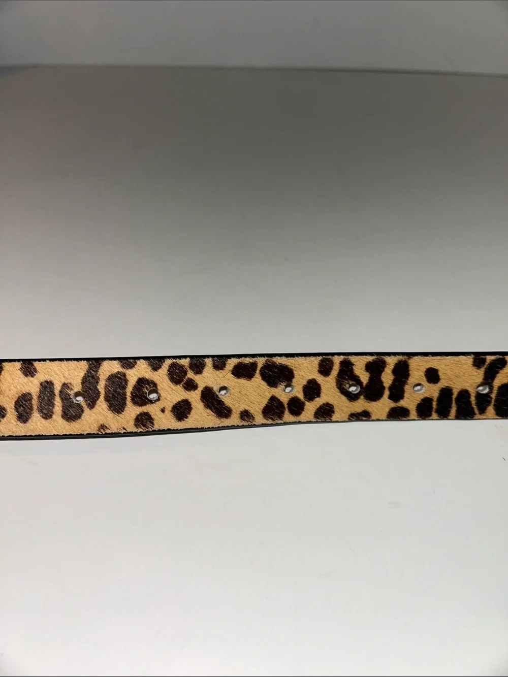 JCrew Calf Hair Belt in Leopard Print